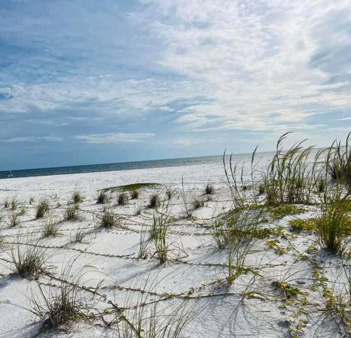 A Shore Delight